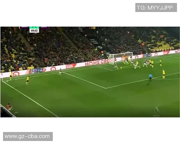 深圳网球队战术表现深度分析与数据解读探讨